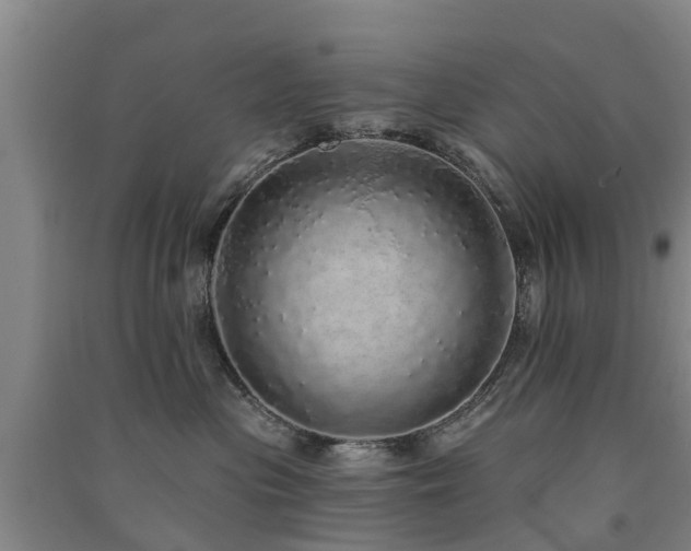 X0000091560477200708171329