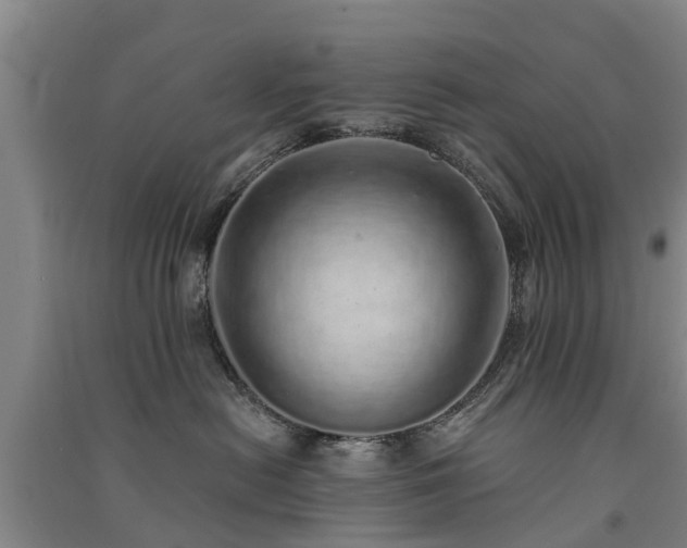 X0000091560478200708171329