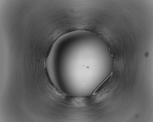 X0000091560479200708171329