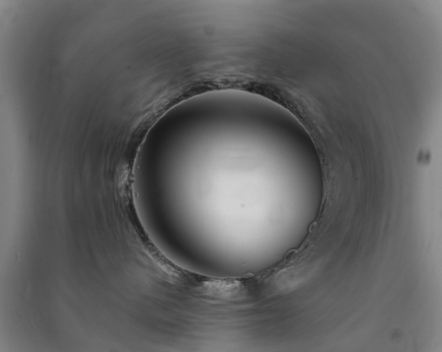 X0000091560480200708171329