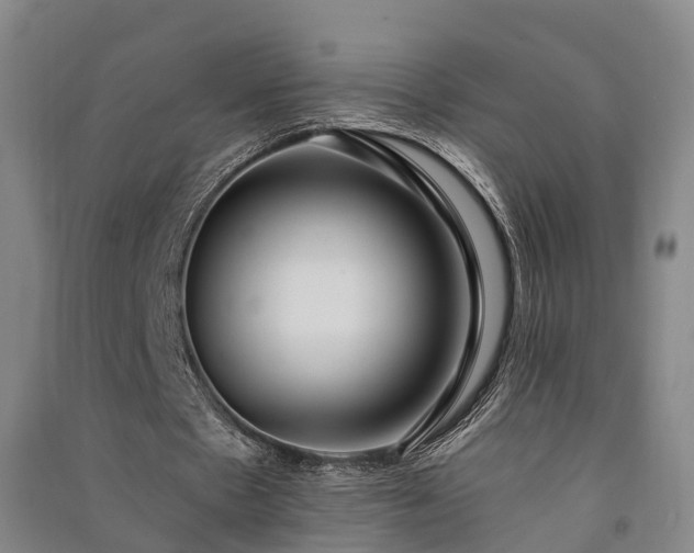 X0000091560481200708171329