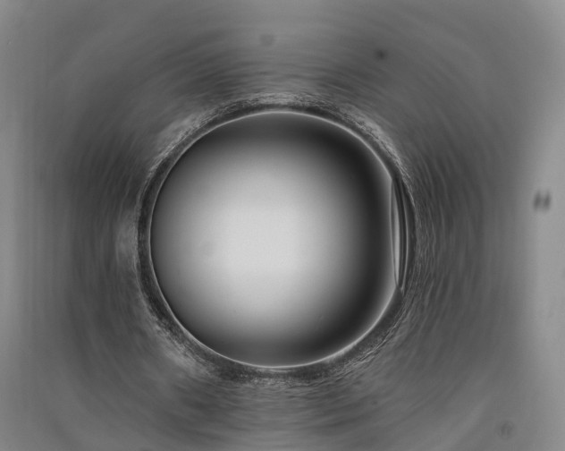 X0000091560482200708171329