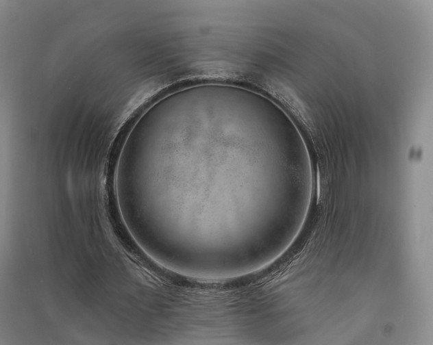 X0000091560483200708171328