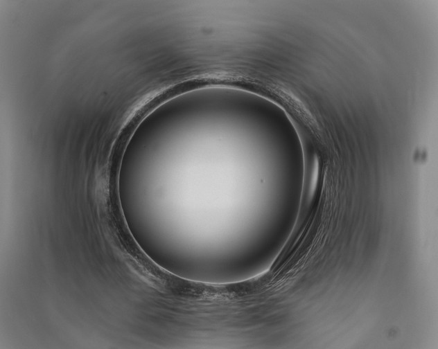 X0000091560484200708171328