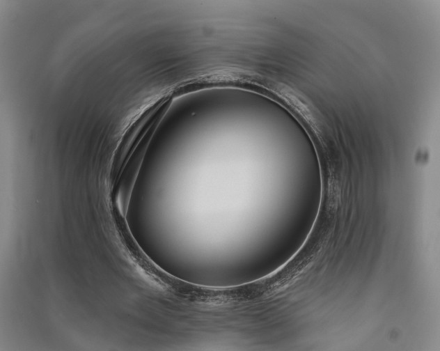 X0000091560485200708171328