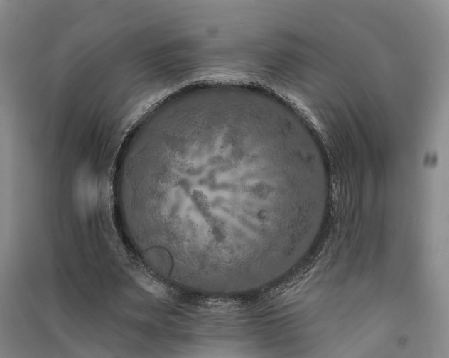 X0000091560487200708171328