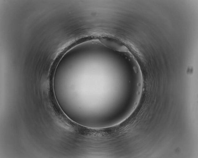 X0000091560488200708171328