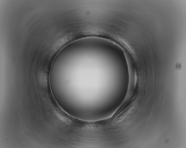 X0000091560489200708171328