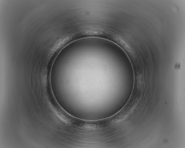 X0000091560490200708171328