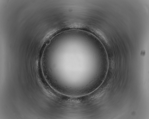 X0000091560491200708171328