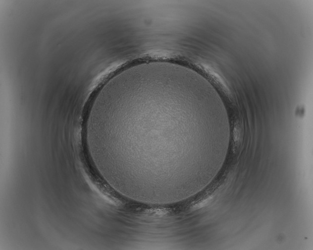 X0000091560492200708171328