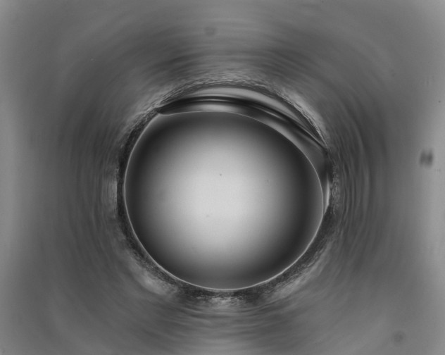 X0000091560493200708171328