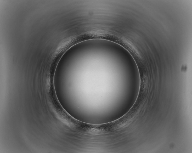 X0000091560494200708171328