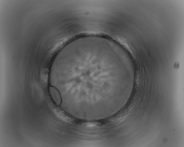 X0000091560495200708171328