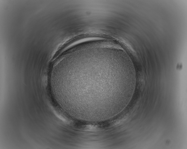 X0000091560496200708171328