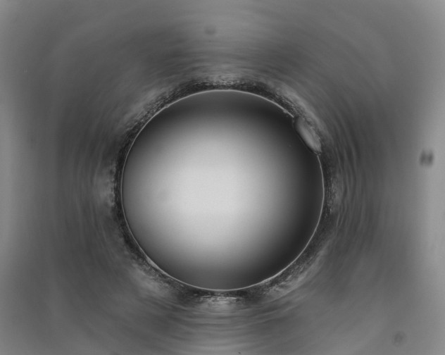 X0000091560497200708171328