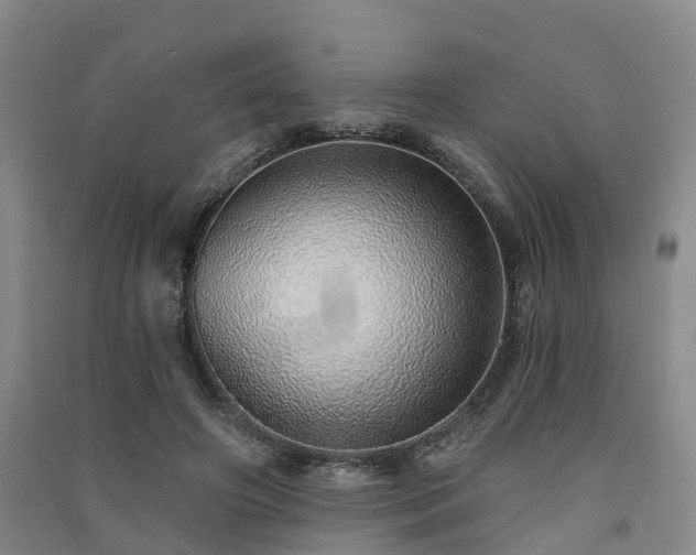 X0000091560498200708171328