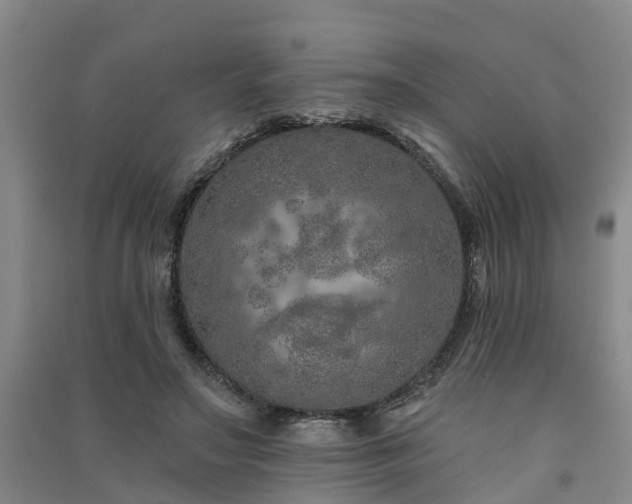 X0000091560499200708171328