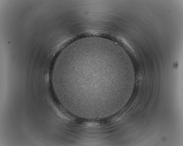 X0000091560500200708171328