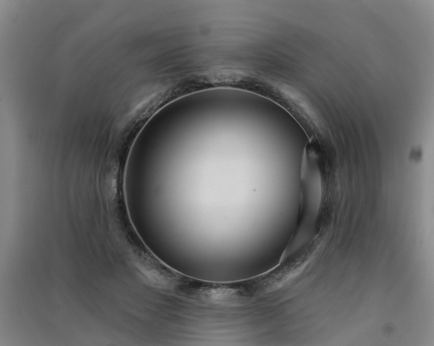 X0000091560501200708171328