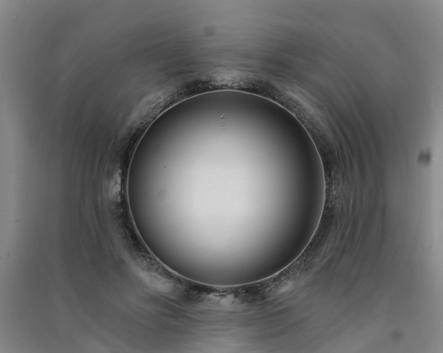 X0000091560502200708171328