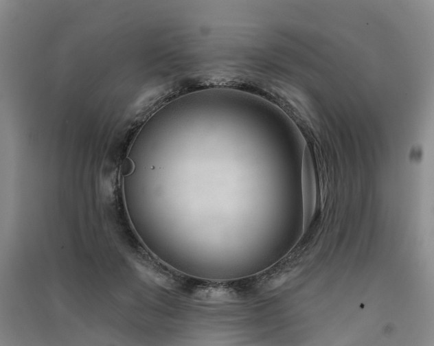 X0000091560503200708171328