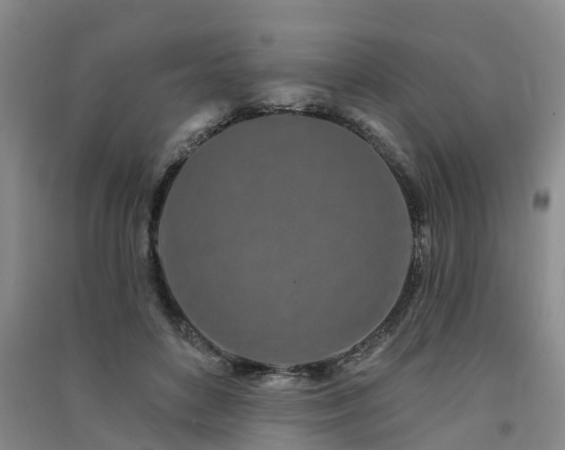 X0000091560504200708171328