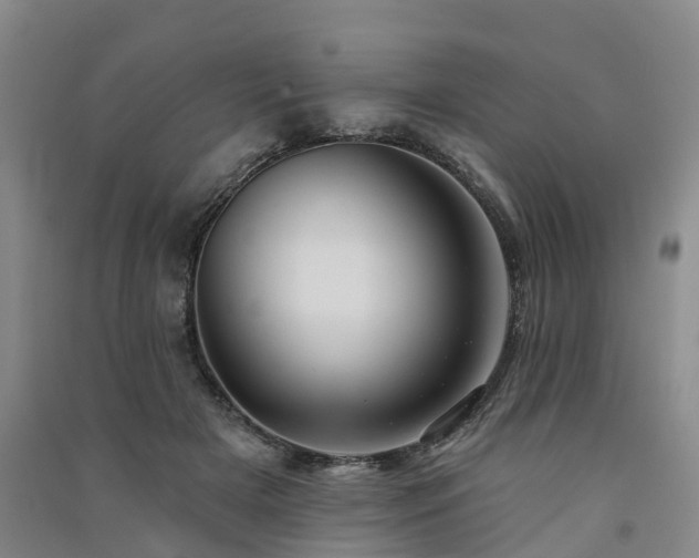 X0000091560505200708171328