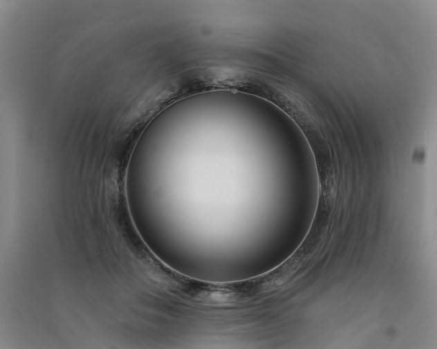 X0000091560506200708171328