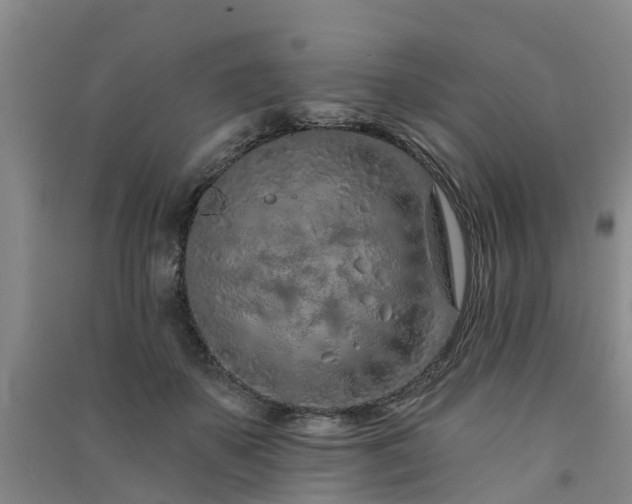 X0000091560507200708171328