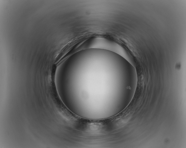 X0000091560508200708171328