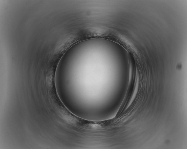 X0000091560509200708171328