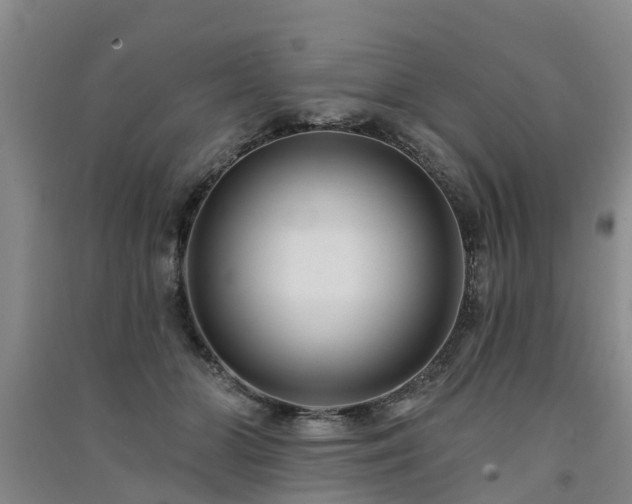 X0000091560510200708171328