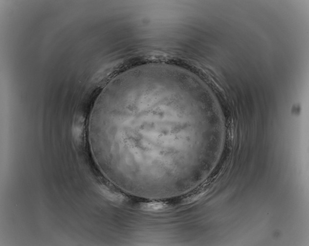 X0000091560511200708171328