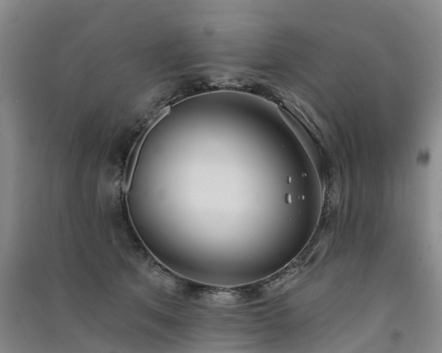 X0000091560513200708171328