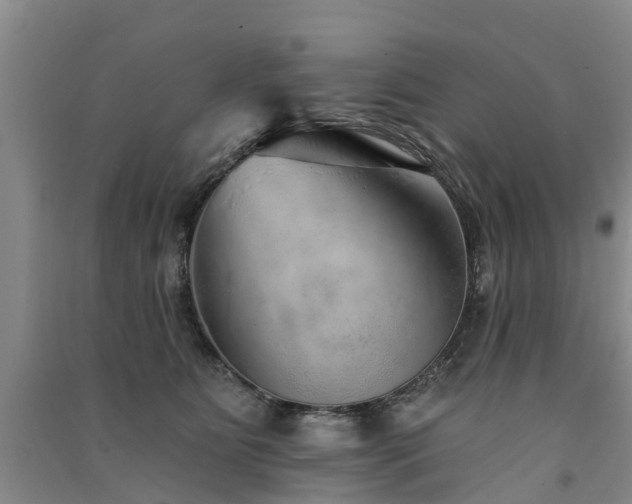 X0000091560515200708171328