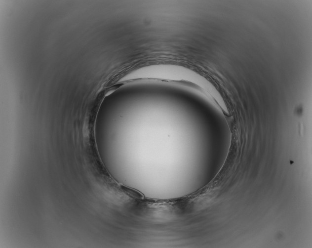 X0000091560516200708171328