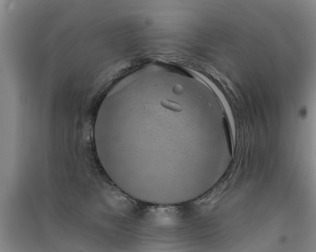 X0000091560517200708171328