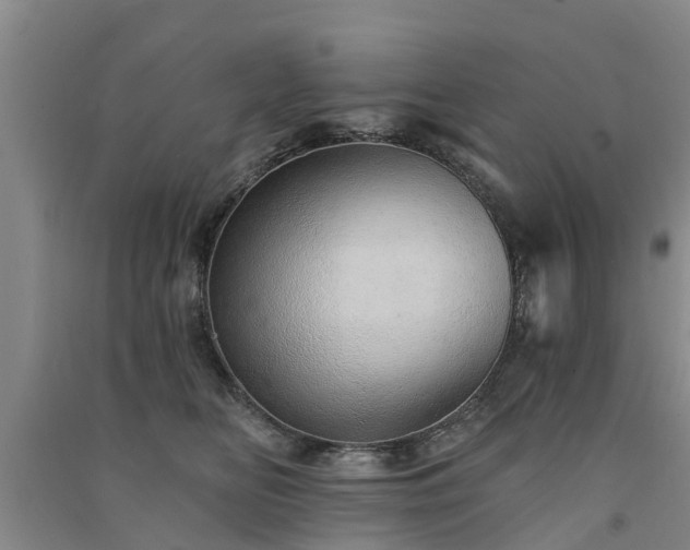 X0000091560518200708171328