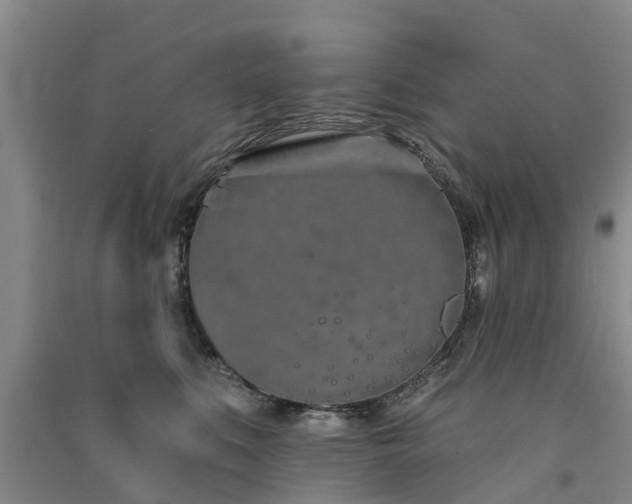 X0000091560519200708171328