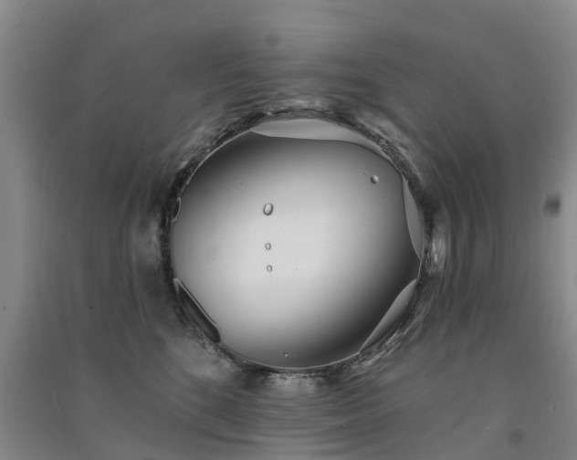 X0000091560520200708171328