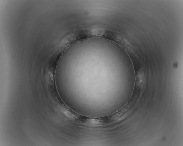 X0000091560522200708171328