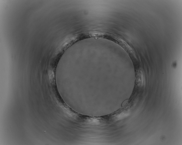 X0000091560523200708171328