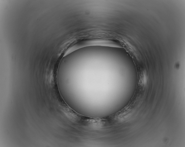 X0000091560524200708171328