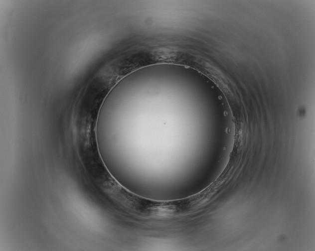 X0000091560525200708171328