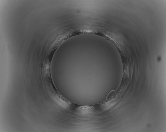 X0000091560526200708171328