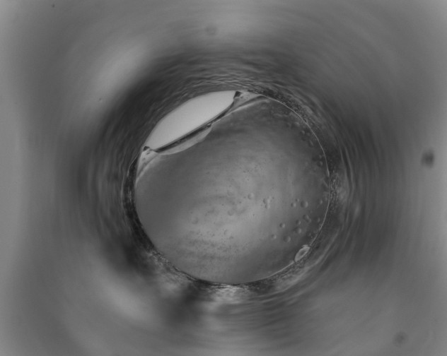 X0000091560527200708171328