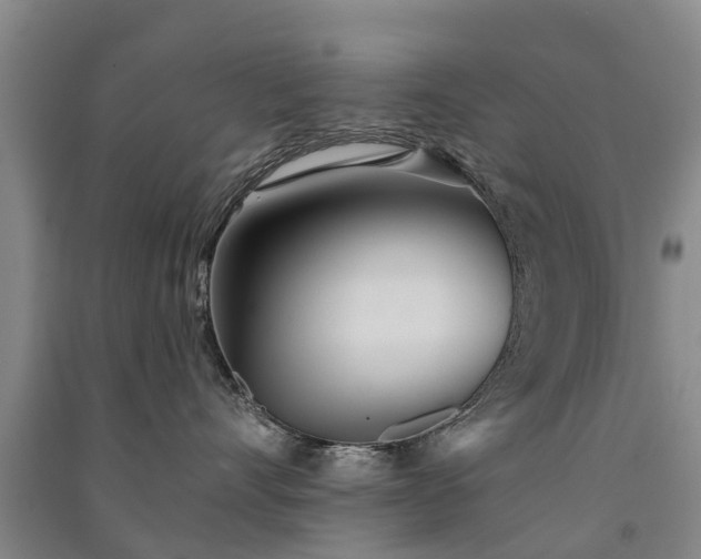 X0000091560528200708171328