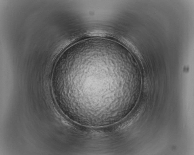 X0000091560529200708171327