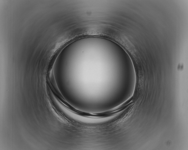 X0000091560530200708171327